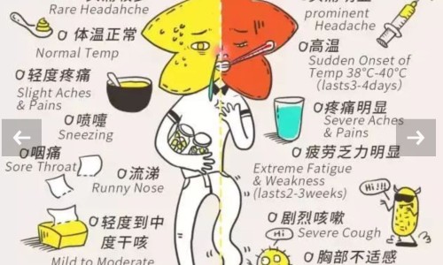 减肥期间一次吃几个草莓网 - 网站提供减肥期间吃哪些水果比较好小常识、减肥期间一次吃几个草莓合适